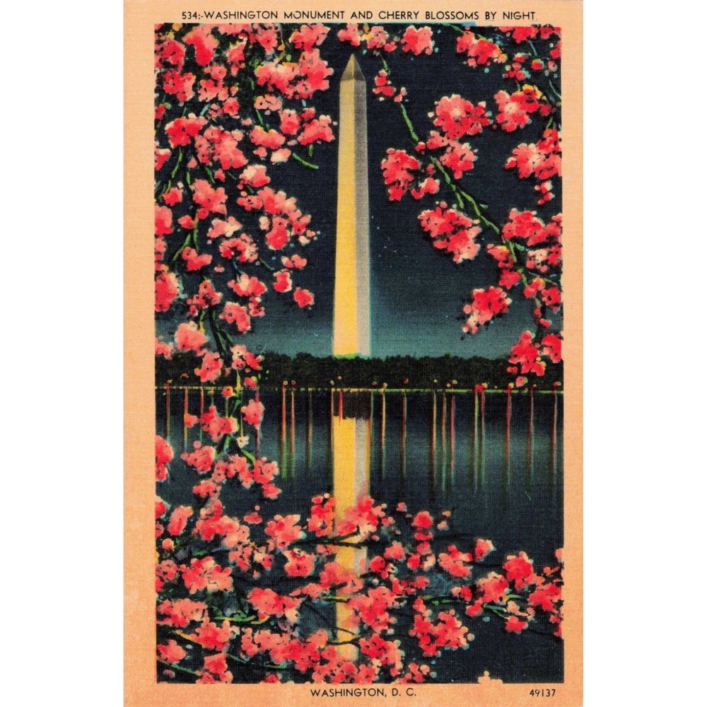 Vintage Washington Monument Cherry Blossoms Night Linen Postcard DC 49137 VG - Picture 1 of 2